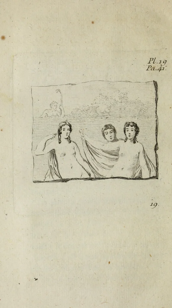 An illustration from Observations sur les antiquités de la ville d'Herculanum : avec quelques réflexions sur la peinture & la sculpture des anciens & une courte description de quelques antiquités des environs de Naples, 1754, leaf 105