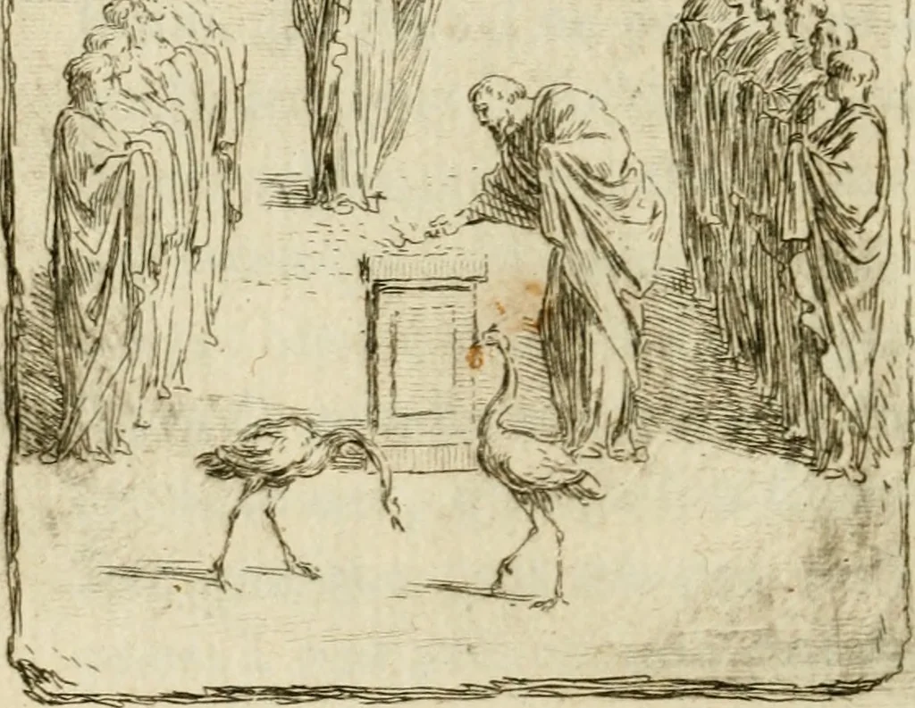 An illustration from Observations sur les antiquités d'Herculanum : avec quelques réflexions sur la peinture & la sculpture des anciens; & une courte description de plusieurs antiquités des environs de Naples, 1755, leaf 123