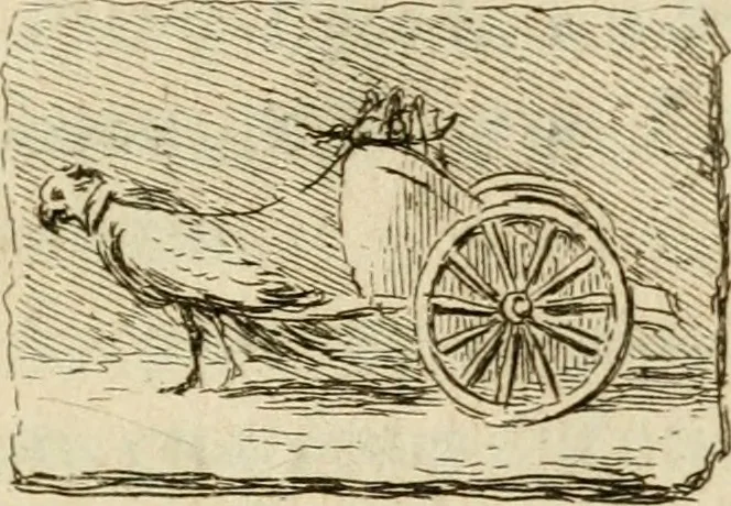 An illustration from Observations sur les antiquités d'Herculanum : avec quelques réflexions sur la peinture & la sculpture des anciens; & une courte description de plusieurs antiquités des environs de Naples, 1755, leaf 134