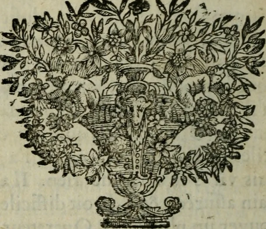 An illustration from Observations sur la maniere de tailler dans les deux sexes pour l'extraction de la pierre, pratiquée par Frere Jacques, 1700, leaf 35