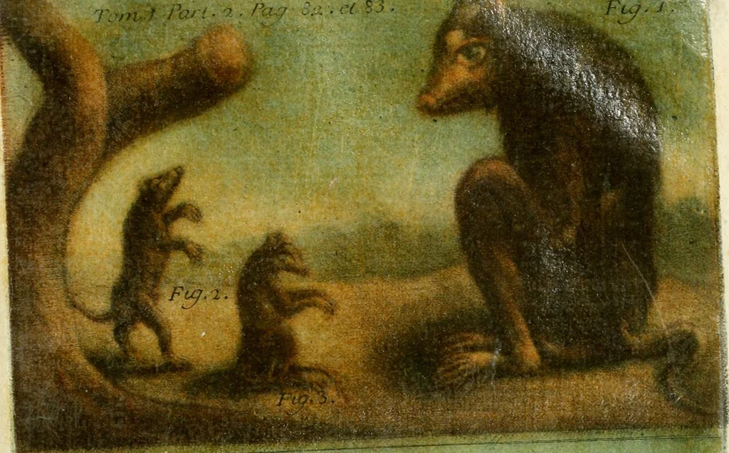An illustration from Observations sur l'histoire naturelle, sur la physique et sur la peinture, 1752, leaf 110