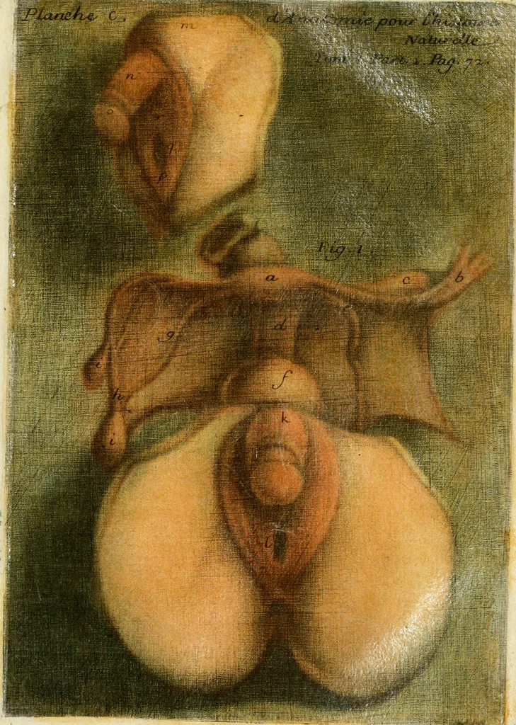 An illustration from Observations sur l'histoire naturelle, sur la physique et sur la peinture, 1752, leaf 94