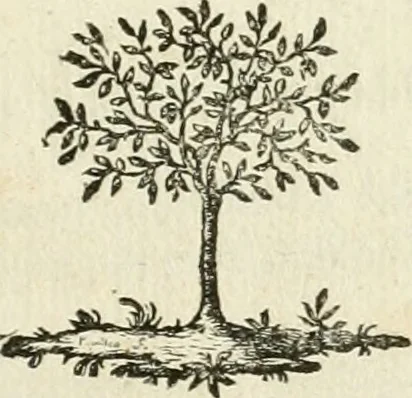 An illustration from Observations sur l'histoire naturelle, sur la physique et sur la peinture, 1752, leaf 76
