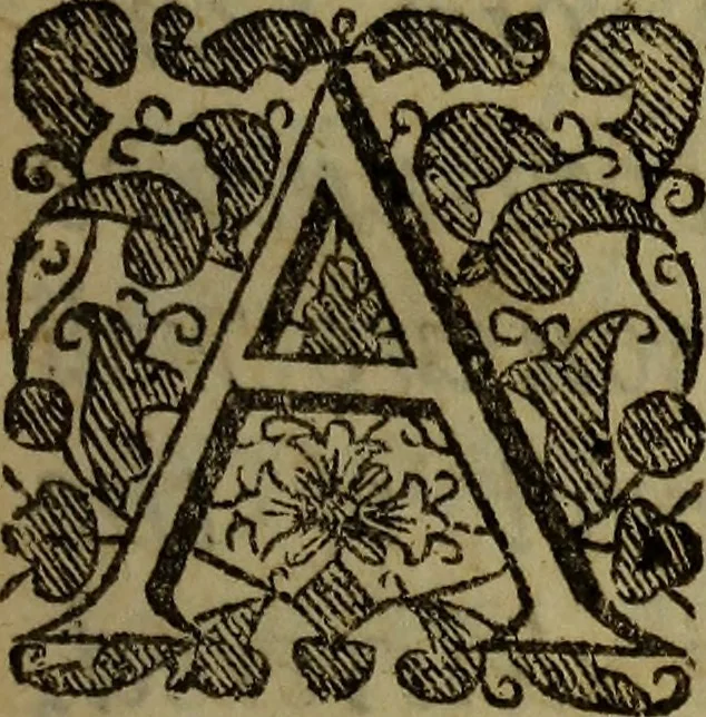 An illustration from Observations topographical, moral, & physiological; : made in a journey through part of the Low-countries, Germany, Italy, and France: with a catalogue of plants not native of England, found spontaneously growing in those parts, and their virtues., 1673, leaf 10