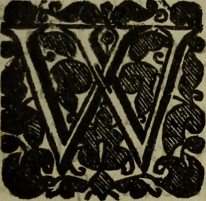 An illustration from Observations topographical, moral, & physiological; : made in a journey through part of the Low-countries, Germany, Italy, and France: with a catalogue of plants not native of England, found spontaneously growing in those parts, and their virtues., 1673, leaf 16