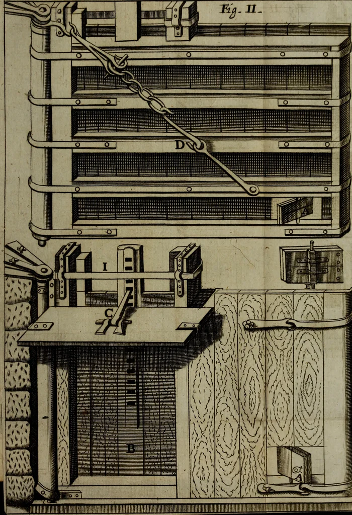 An illustration from Observations topographical, moral, & physiological; : made in a journey through part of the Low-countries, Germany, Italy, and France: with a catalogue of plants not native of England, found spontaneously growing in those parts, and their virtues., 1673, leaf 30