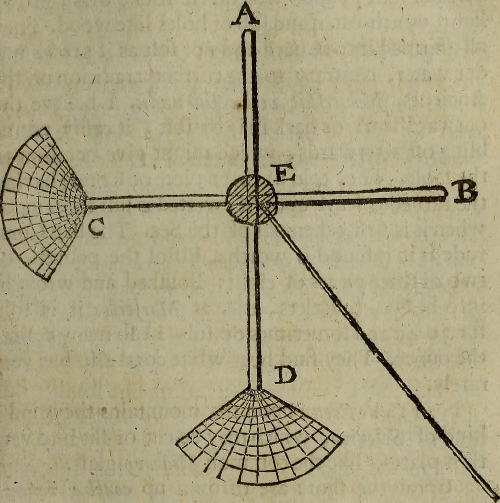 An illustration from Observations topographical, moral, & physiological; : made in a journey through part of the Low-countries, Germany, Italy, and France: with a catalogue of plants not native of England, found spontaneously growing in those parts, and their virtues., 1673, leaf 498