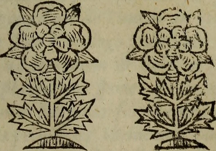 An illustration from Observations topographical, moral, & physiological; : made in a journey through part of the Low-countries, Germany, Italy, and France: with a catalogue of plants not native of England, found spontaneously growing in those parts, and their virtues., 1673, leaf 532