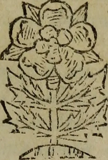 An illustration from Observations topographical, moral, & physiological; : made in a journey through part of the Low-countries, Germany, Italy, and France: with a catalogue of plants not native of England, found spontaneously growing in those parts, and their virtues., 1673, leaf 532