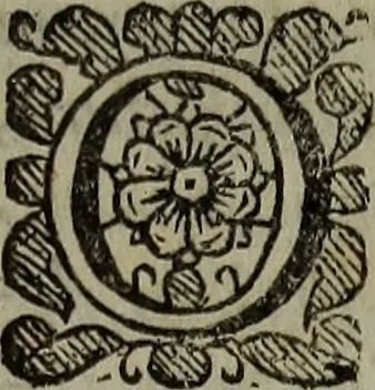 An illustration from Observations topographical, moral, & physiological; : made in a journey through part of the Low-countries, Germany, Italy, and France: with a catalogue of plants not native of England, found spontaneously growing in those parts, and their virtues., 1673, leaf 534