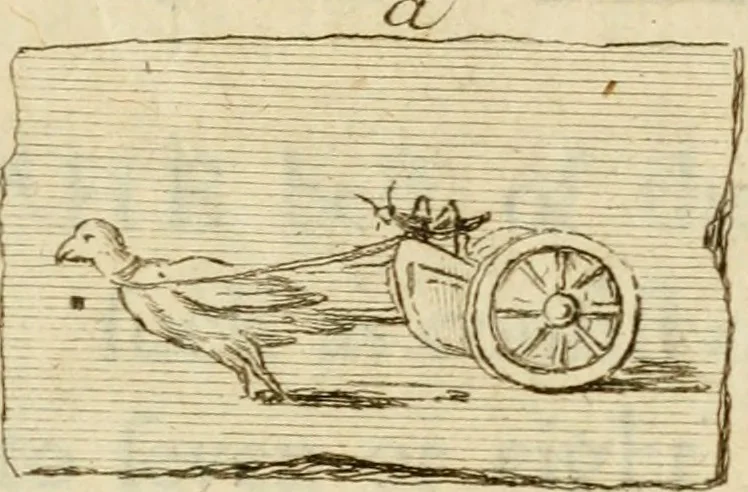 An illustration from Observations upon the antiquities of the town of Herculaneum, discovered at the foot of Mount Vesuvius : with some reflections on the painting and sculpture of the ancients : and a short description of the antiquities in the neighbourhood of Naples, 1754, leaf 136