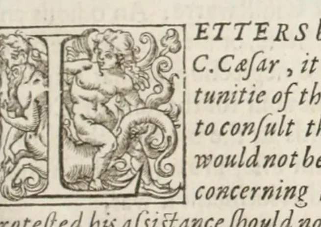 An illustration from Observations vpon Caesars comentaries, 1609, leaf 251