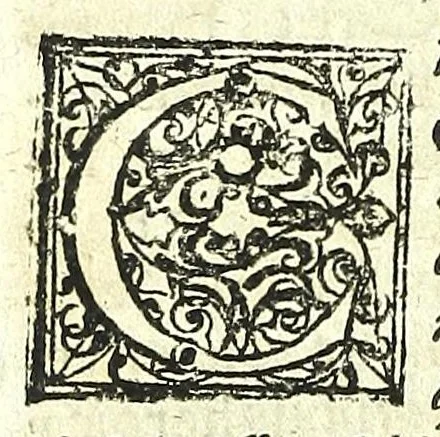 An illustration from Observationum medicarum Castrensium Hungaricarum decades tres., 1685, leaf 138