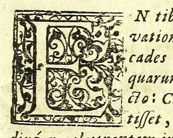 An illustration from Observationum medicarum Castrensium Hungaricarum decades tres., 1685, leaf 21