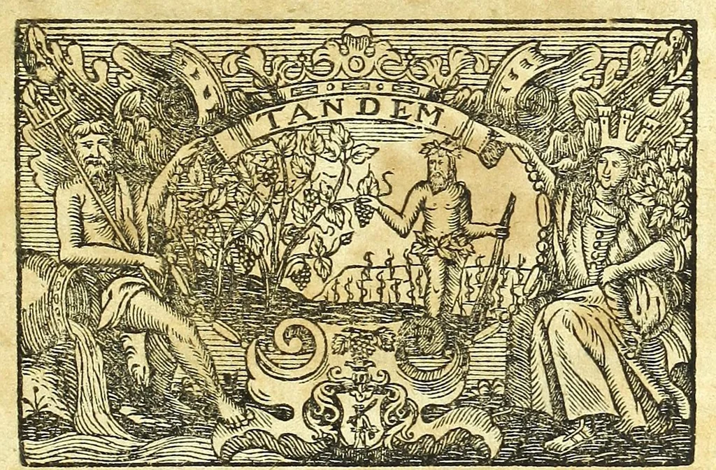 An illustration from Observationum medicarum Castrensium Hungaricarum decades tres., 1685, leaf 5