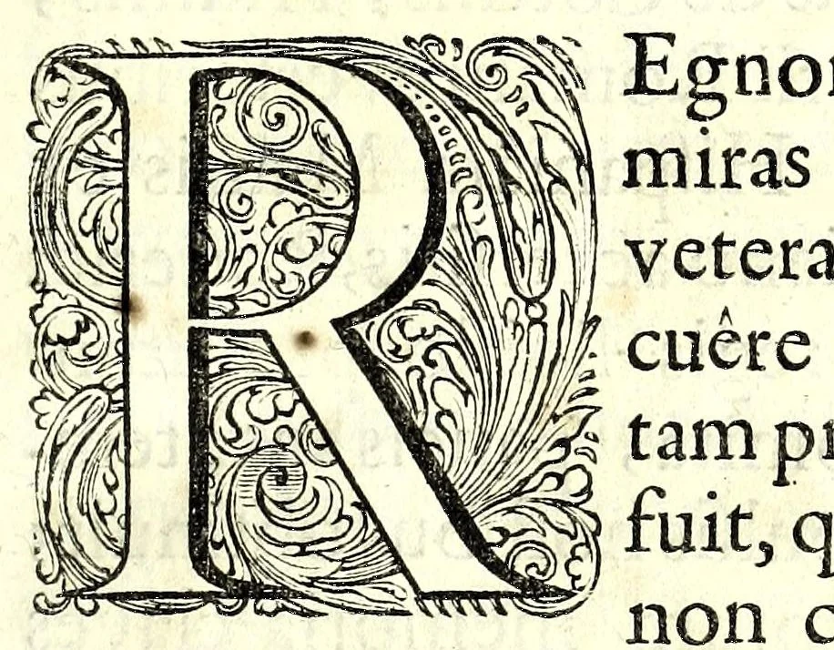 An illustration from Obsidio Clari Montis Cze̜stochoviensis : deiparae imagine a divo Luca depictae in regno Poloniae celeberrimi, ab exercitu Suecorum duce Burchardo Mellero generali legato, 1659, leaf 21