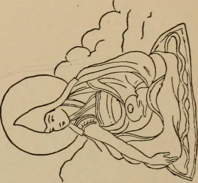 An illustration from Obzor sobraniia predmetov lamaskago kul'ta kn. .. Ukhtomskago, 1905, leaf 196