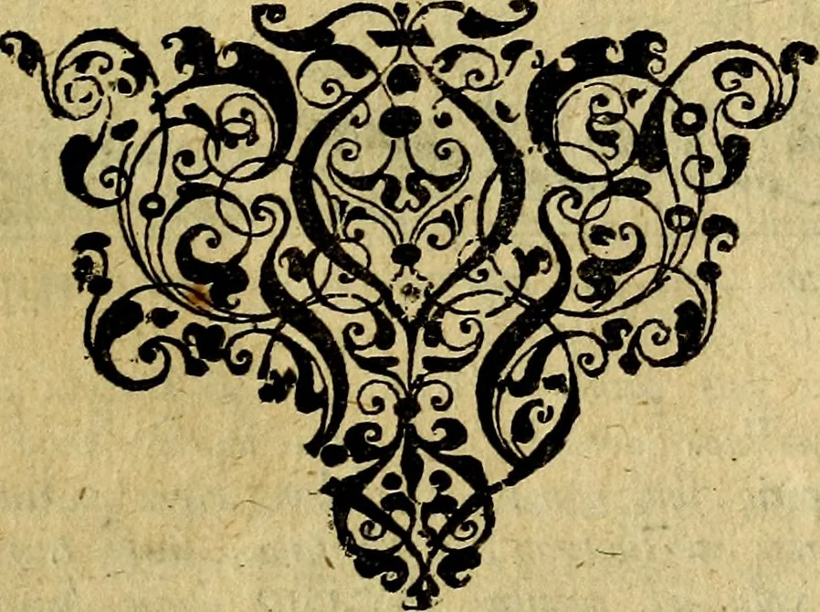 An illustration from Occasio Arrepta. Neglecta. Hvivs Commode; Illivs incommoda, 1605, leaf 110
