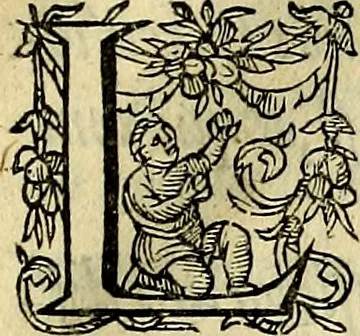 An illustration from Occasio Arrepta. Neglecta. Hvivs Commode; Illivs incommoda, 1605, leaf 12