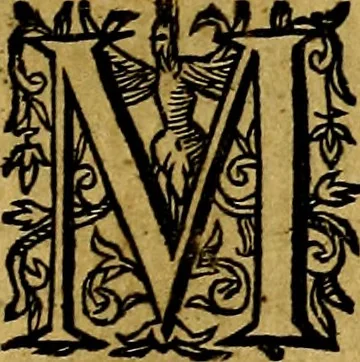 An illustration from Occasio Arrepta. Neglecta. Hvivs Commode; Illivs incommoda, 1605, leaf 164