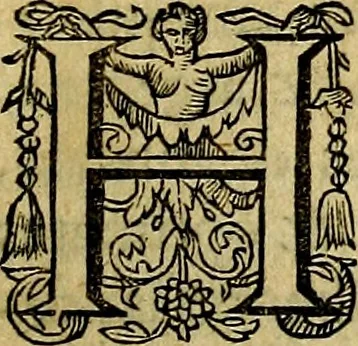 An illustration from Occasio Arrepta. Neglecta. Hvivs Commode; Illivs incommoda, 1605, leaf 192