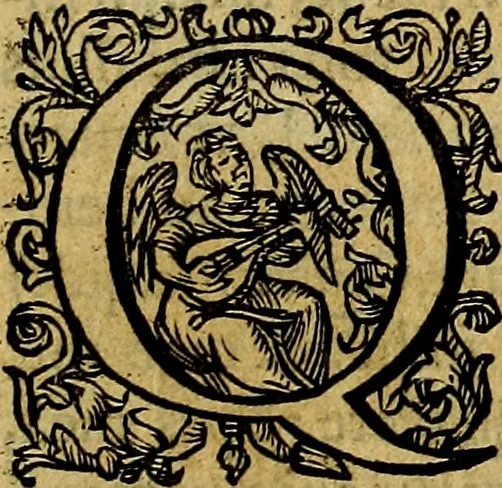 An illustration from Occasio Arrepta. Neglecta. Hvivs Commode; Illivs incommoda, 1605, leaf 20