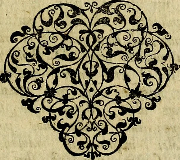 An illustration from Occasio Arrepta. Neglecta. Hvivs Commode; Illivs incommoda, 1605, leaf 216
