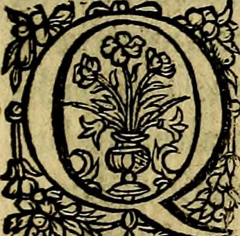 An illustration from Occasio Arrepta. Neglecta. Hvivs Commode; Illivs incommoda, 1605, leaf 218