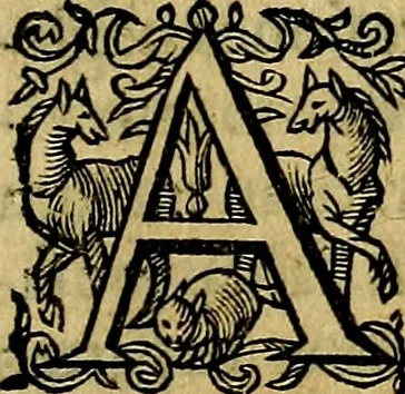 An illustration from Occasio Arrepta. Neglecta. Hvivs Commode; Illivs incommoda, 1605, leaf 246