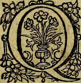 An illustration from Occasio Arrepta. Neglecta. Hvivs Commode; Illivs incommoda, 1605, leaf 266