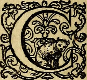 An illustration from Occasio Arrepta. Neglecta. Hvivs Commode; Illivs incommoda, 1605, leaf 292