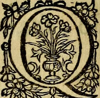 An illustration from Occasio Arrepta. Neglecta. Hvivs Commode; Illivs incommoda, 1605, leaf 296
