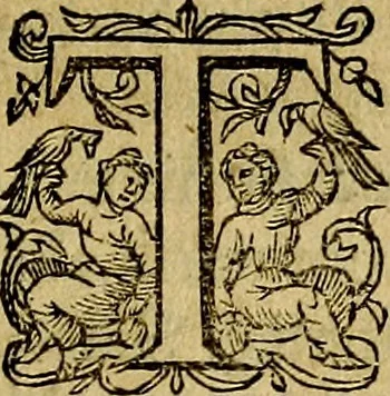 An illustration from Occasio Arrepta. Neglecta. Hvivs Commode; Illivs incommoda, 1605, leaf 34