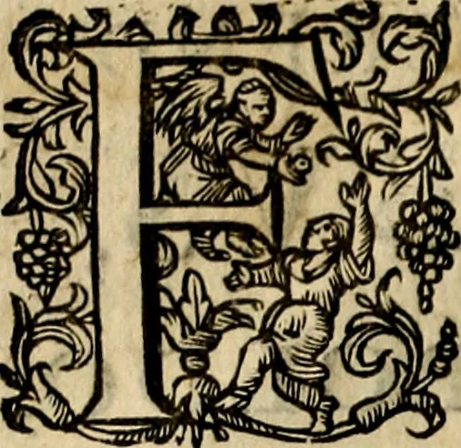 An illustration from Occasio Arrepta. Neglecta. Hvivs Commode; Illivs incommoda, 1605, leaf 7