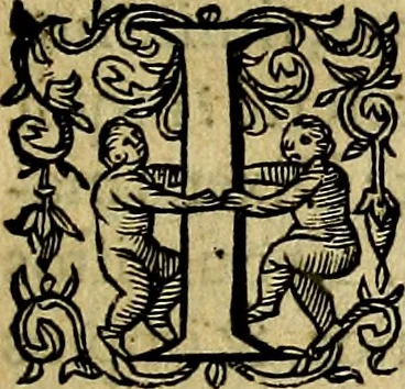 An illustration from Occasio Arrepta. Neglecta. Hvivs Commode; Illivs incommoda, 1605, leaf 80