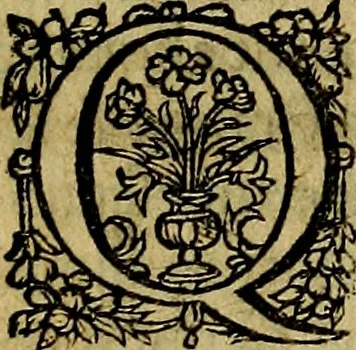 An illustration from Occasio Arrepta. Neglecta. Hvivs Commode; Illivs incommoda, 1605, leaf 94