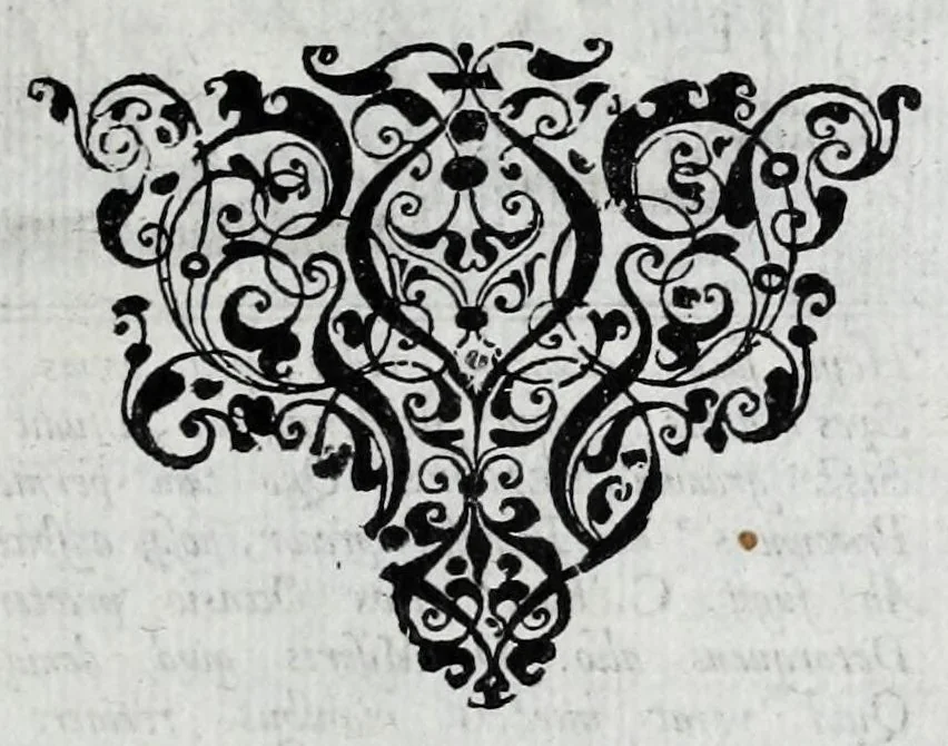 An illustration from Occasio arrepta, neglecta, hvivs commoda, illivs incommoda, 1605, leaf 211