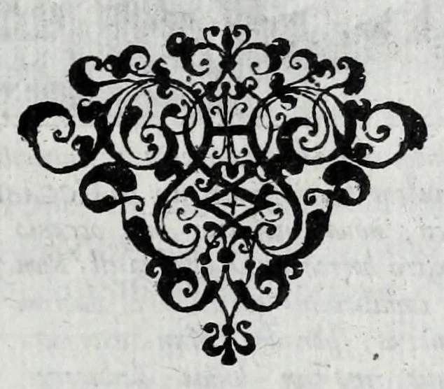 An illustration from Occasio arrepta, neglecta, hvivs commoda, illivs incommoda, 1605, leaf 85