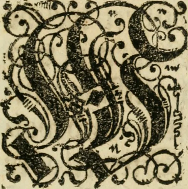An illustration from Occvlta philosophia : von den verborgenen philosophischen Geheimnussen der heimlichen Goldblumen vnd lapidis philosophorum, was derselbige, vnd wie zu Erlangung dessen zu procediren, aussführlicher Bericht in einem philosophischen Gespräch verfasset : sampt der Schmaragd Taffel, Paraboln, symbolis, vnd 18. sonderbaren Figuren der hochberühmten Philosophen Hermetis Trismegisti vnd F. Basilii Valentini durch welche diese Kunst der philosophischen Goldblumen vollkomlich erkläret an Tag gegeben, 1613, leaf 6