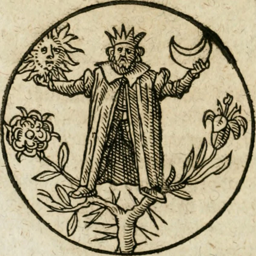 An illustration from Occvlta philosophia : von den verborgenen philosophischen Geheimnussen der heimlichen Goldblumen vnd lapidis philosophorum, was derselbige, vnd wie zu Erlangung dessen zu procediren, aussführlicher Bericht in einem philosophischen Gespräch verfasset : sampt der Schmaragd Taffel, Paraboln, symbolis, vnd 18. sonderbaren Figuren der hochberühmten Philosophen Hermetis Trismegisti vnd F. Basilii Valentini durch welche diese Kunst der philosophischen Goldblumen vollkomlich erkläret an Tag gegeben, 1613, leaf 71