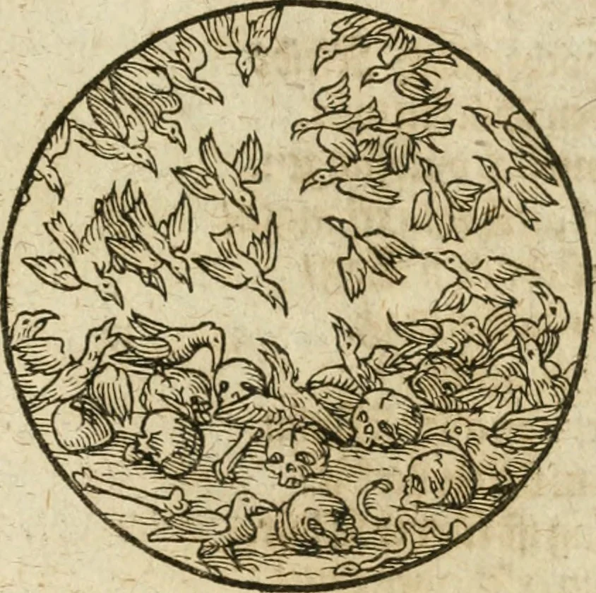 An illustration from Occvlta philosophia : von den verborgenen philosophischen Geheimnussen der heimlichen Goldblumen vnd lapidis philosophorum, was derselbige, vnd wie zu Erlangung dessen zu procediren, aussführlicher Bericht in einem philosophischen Gespräch verfasset : sampt der Schmaragd Taffel, Paraboln, symbolis, vnd 18. sonderbaren Figuren der hochberühmten Philosophen Hermetis Trismegisti vnd F. Basilii Valentini durch welche diese Kunst der philosophischen Goldblumen vollkomlich erkläret an Tag gegeben, 1613, leaf 74