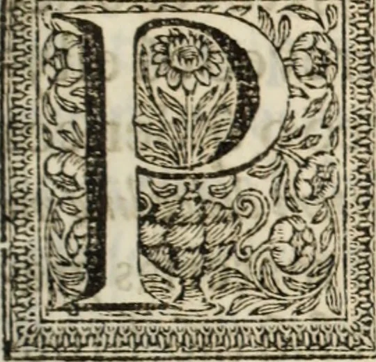 An illustration from O ceo aberto na terra : historia das sagradas congregações dos conegos seculares de S. Jorge em Alga de Venesa, & de S. Joaõ Evangelista em Portugal, 1697, leaf 20