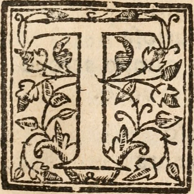 An illustration from O condestabre de Portugal, : D. Nunoalvres Pereira, 1627, leaf 198