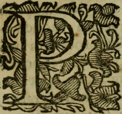 An illustration from Octauij Ferrarij Analecta de re vestiaria, siue, Exercitationes ad Alberti Rubenij Commentarium de re vestiaria, & lato clauo : accessit Dissertatio de veterum lucernis sepulchralibus, 1670, leaf 216
