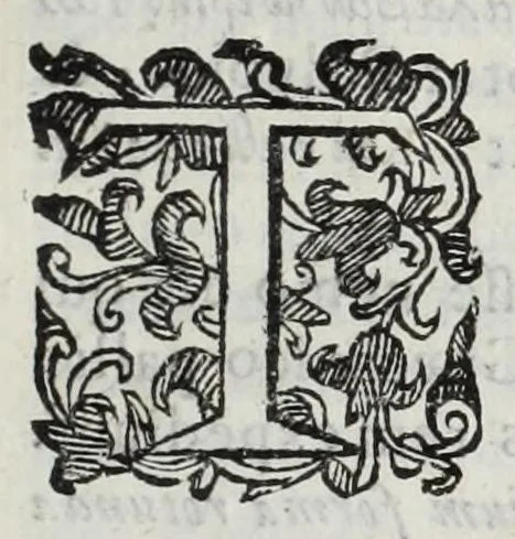 An illustration from Octavii Ferrari de re vestiaria, libri septem : quatuor postremi nunc primum prodeunt : reliqui emendatiores & auctiores .., 1654, leaf 29