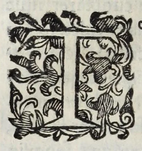 An illustration from Octavii Ferrari de re vestiaria, libri septem : quatuor postremi nunc primum prodeunt : reliqui emendatiores & auctiores .., 1654, leaf 304