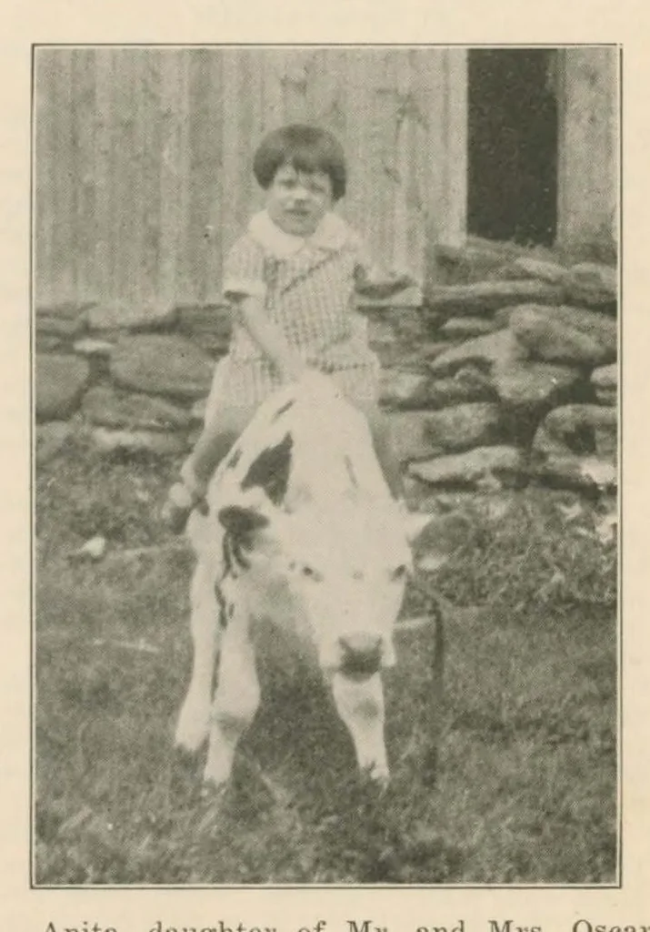 An illustration from October 1928, 1928, leaf 9