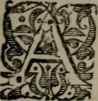An illustration from Octoginta emblemata moralia nova : e sacris literis petita, formandis ad veram pietatem accommodata, & elegantibus picturis aeri incisis repraesentata, 1630, leaf 24