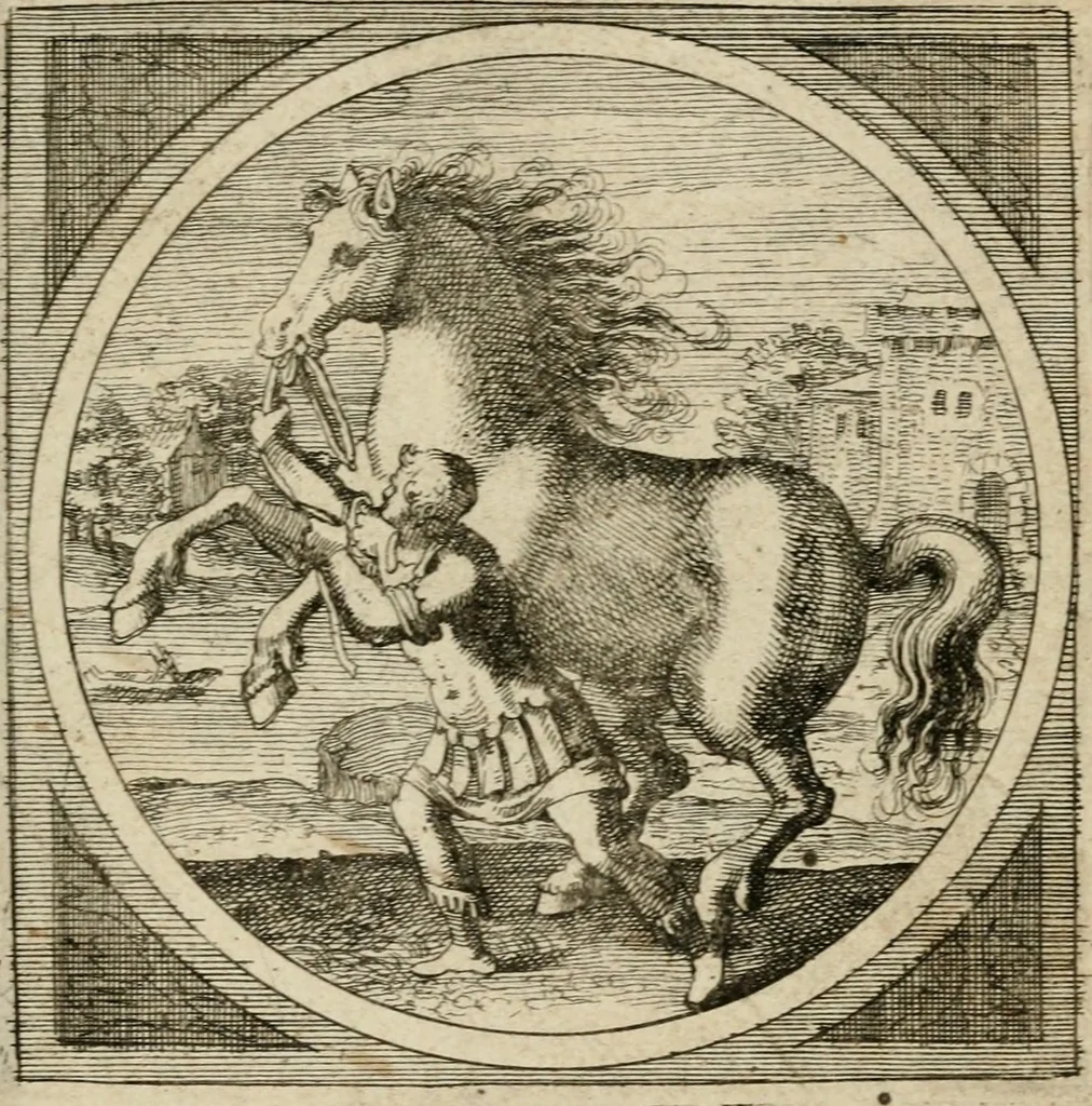 An illustration from Octoginta emblemata moralia nova, e sacris literis petita, formandis ad veram pietatem accommodata, & elegantibus picturis aeri incisis repraesentata, 1630, leaf 102