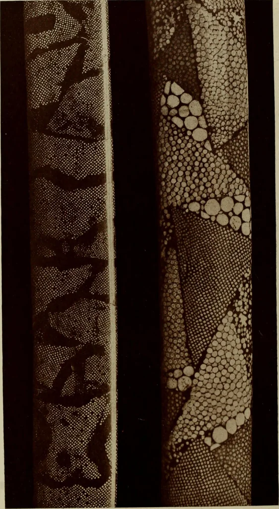 An illustration from Starye gody, 1907, leaf 161
